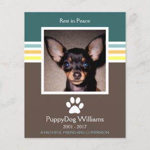 Mod-Speicherkarte für den Verlust von Haustieren