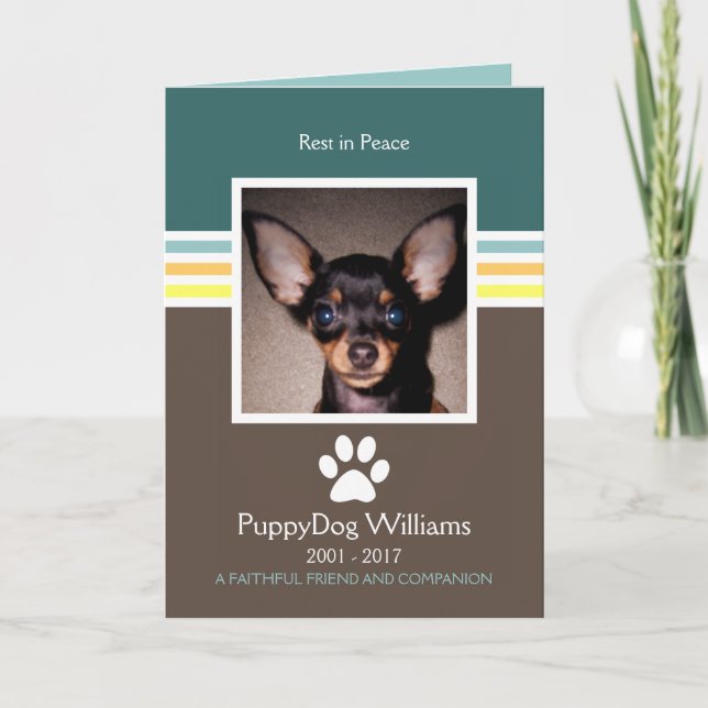 Mod-Speicherkarte für den Verlust von Haustieren Karte (Vorderseite)