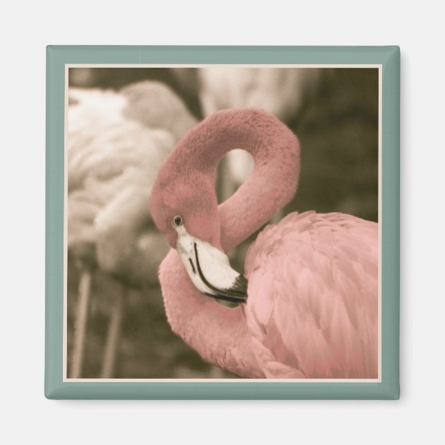 Modebewusster Flamingo Magnet (Vorne)