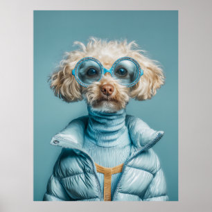 Modehund in blauem Outfit Poster
