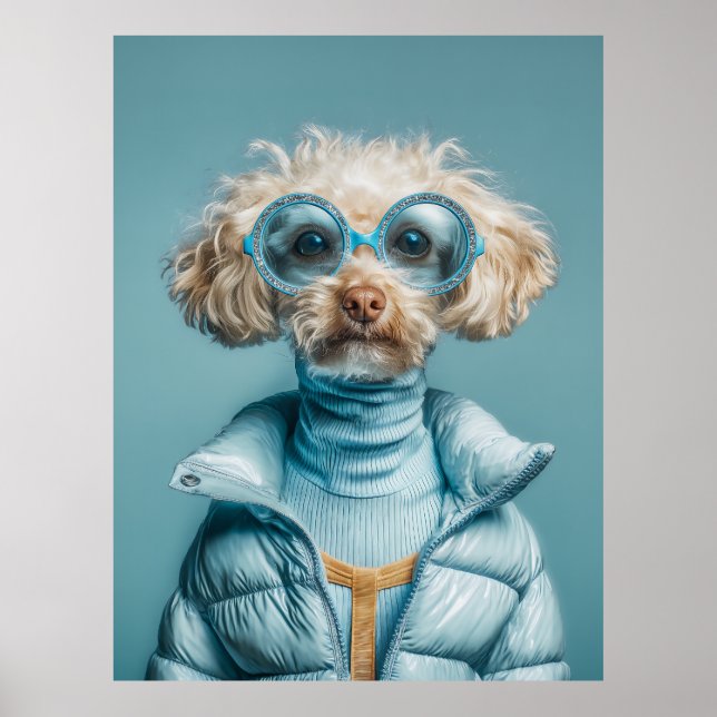 Modehund in blauem Outfit Poster (Vorne)