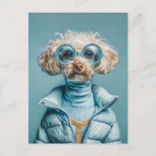 Modehund in blauem Outfit Postkarte