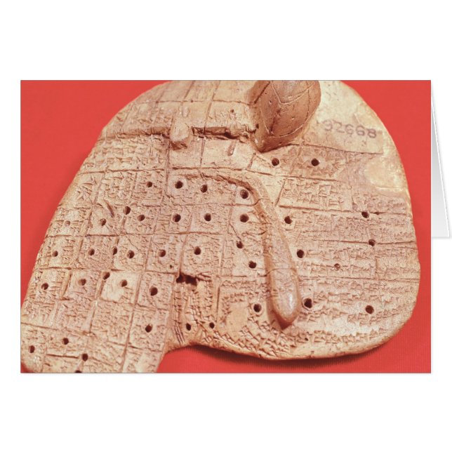 Modell der Schafsleber (Vorderseite (Horizontal))