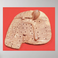 Modell der Schafsleber