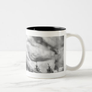 Modell von Tyrannosaurus rex B&W Zweifarbige Tasse