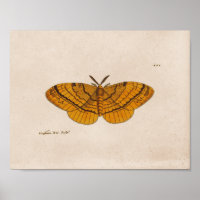 Modemische wissenschaftliche Illustration