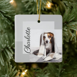 Moden Minimal Geometric Hund Foto Ornament