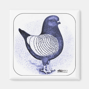 Modena Argent Magnet