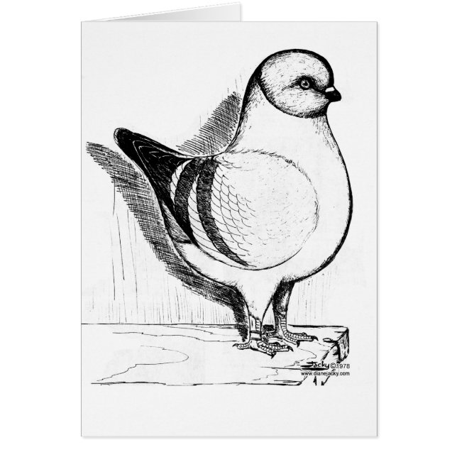 Modena Gazzi Pigeon 1978 (Vorne)