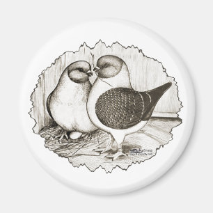 Modena Gazzi Pigeons Magnet