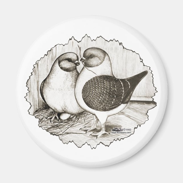 Modena Gazzi Pigeons Magnet (Vorne)