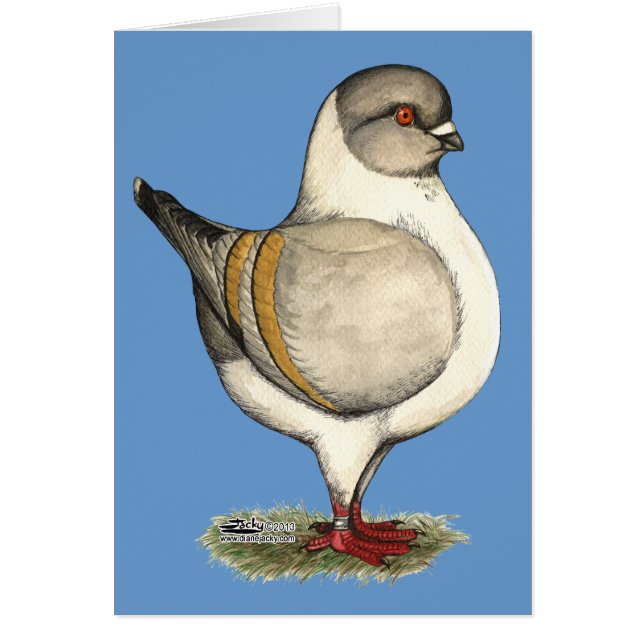 Modena Silver Gazzi (Vorne)