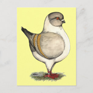 Modena Silver Gazzi Postkarte