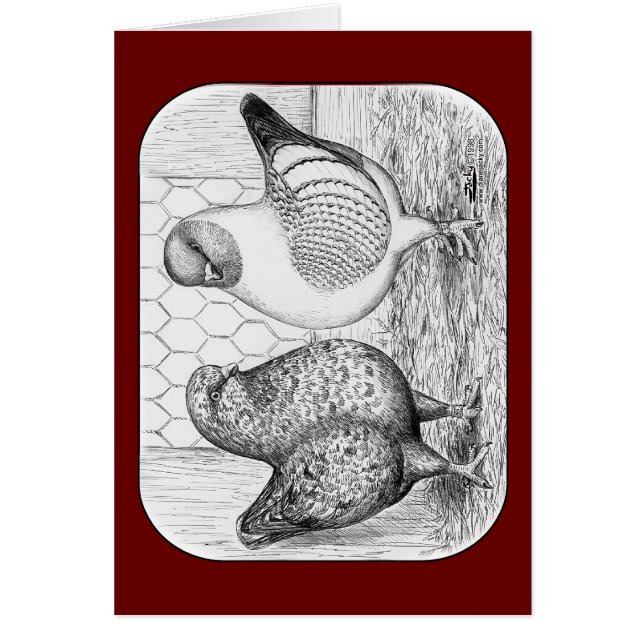 Modenas Zwei Tauben (Vorne)