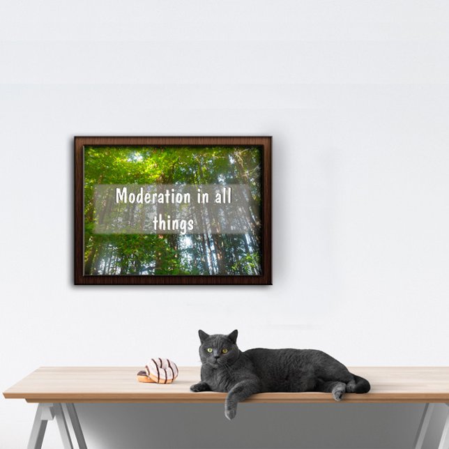 Moderation in allen Dingen Inspiration Poster (Von Creator hochgeladen)