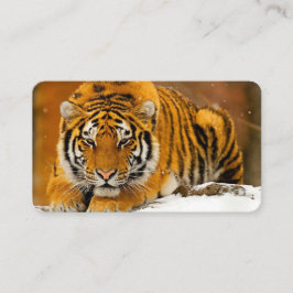 Modern Animal Art Card Set – Tiger & Fantasy Bird Visitenkarte