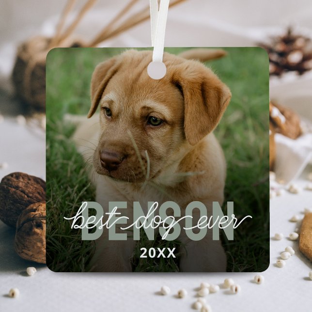 Modern Best Dog Ever Pet Foto Ornament Aus Metall (Von Creator hochgeladen)