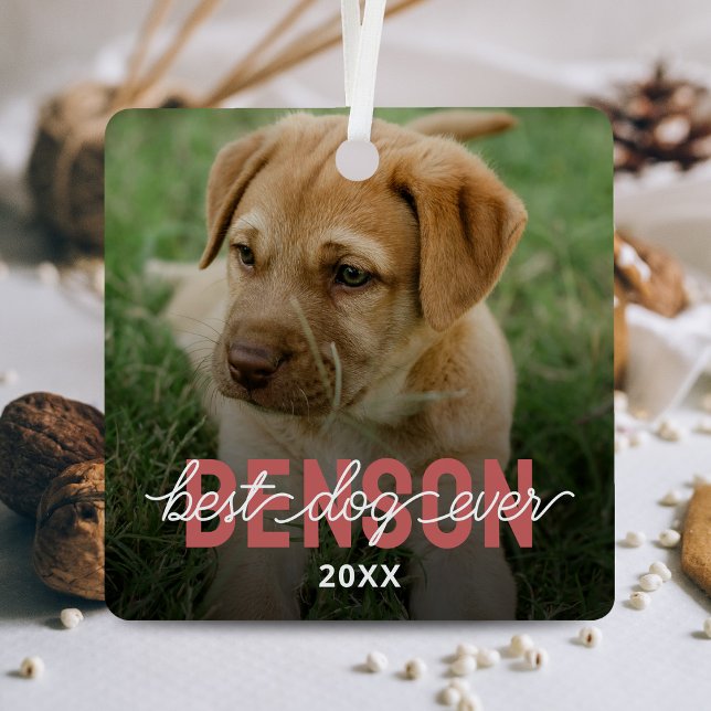 Modern Best Dog Ever Pet Foto Ornament Aus Metall (Von Creator hochgeladen)