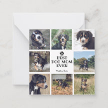 Modern Beste Hundemutter Aller Zeiten Weiß 8 Fotos