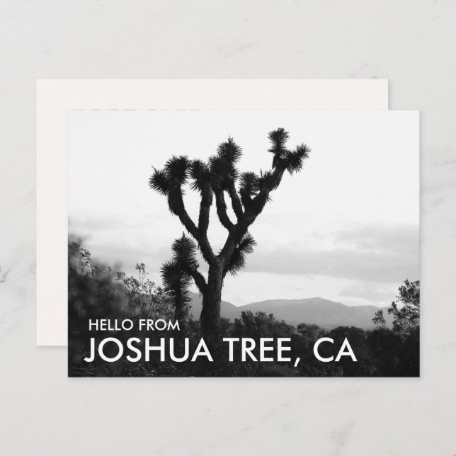 Modern Black & White Hello von Joshua Tree Postkarte (Vorne/Hinten)