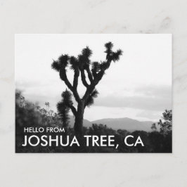 Modern Black & White Hello von Joshua Tree Postkarte