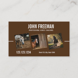 Modern Brown Horse Foto Reittiere Visitenkarte