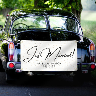Modern Confetti Just Married Car Banner