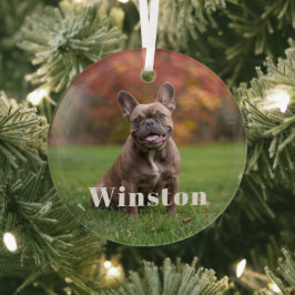 Modern Custom Pet Name Photo Holiday Ornament Aus Glas