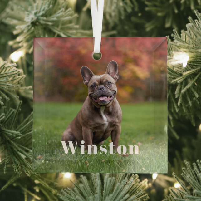 Modern Custom Pet Name Photo Holiday Ornament Aus Glas (Insitu)