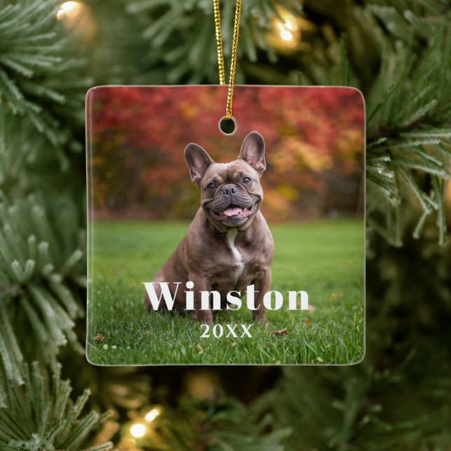 Modern Custom Pet Name Year Photo Holiday Keramikornament (Baum)