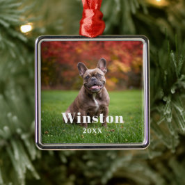 Modern Custom Pet Name Year Photo Holiday Ornament Aus Metall