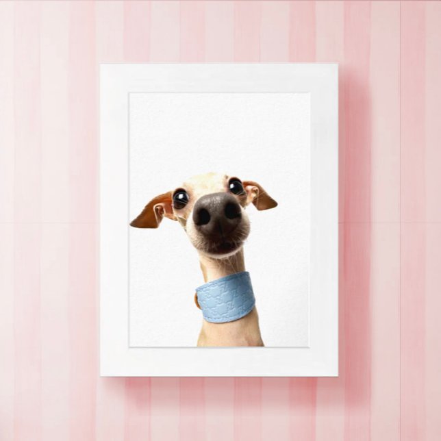 Modern Custom Pet Photo | Meeko Poster (Von Creator hochgeladen)
