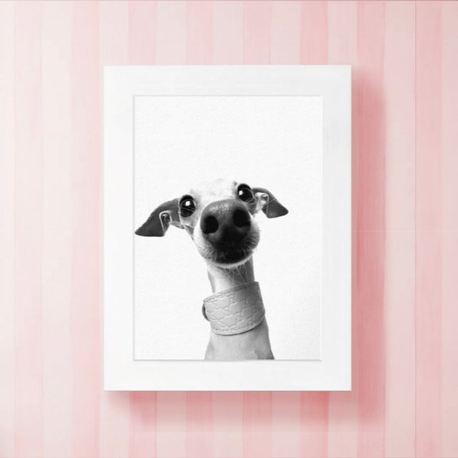 Modern Custom Pet Photo | Meeko Poster (Von Creator hochgeladen)