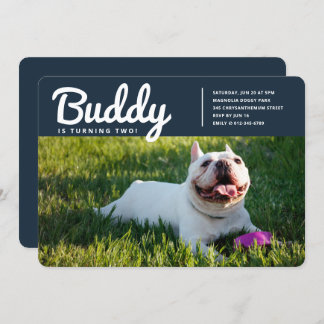 Modern Custom Pet Puppy Hund Foto Geburtstag Einladung