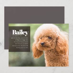 Modern Custom Puppy Dog Foto Geburtstagseinladung Einladung