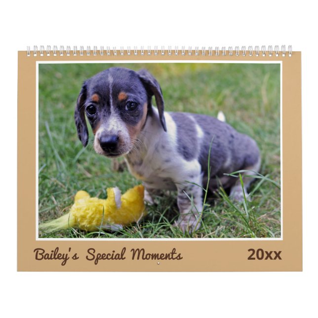 Modern Cute Dachshund Custom Pet Photos  Kalender (Titelbild)