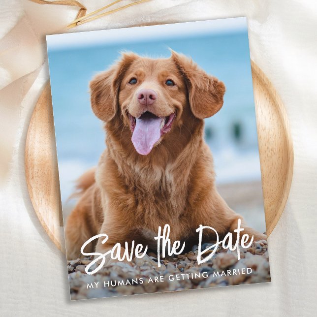Modern Dog Wedding Custom Pet Photo Save The Date  Ankündigungspostkarte (Von Creator hochgeladen)