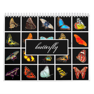 Modern Fotoschmetterling Kalender