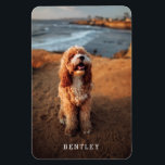 Modern Full Foto Dog PET White Magnet<br><div class="desc">Ersetzen Sie das Foto einfach durch einen eigenen für einen einfachen,  stilvollen Magneten! Textvorlage für einen Namen oder anderen benutzerdefinierten Text enthalten!</div>