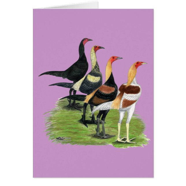 Modern Game Quartett (Vorne)