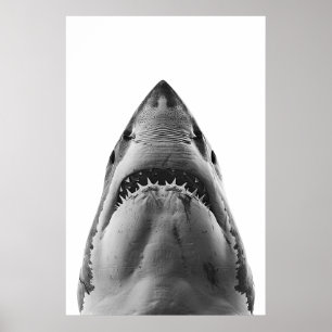 Modern Great White Shark Portrait Poster
