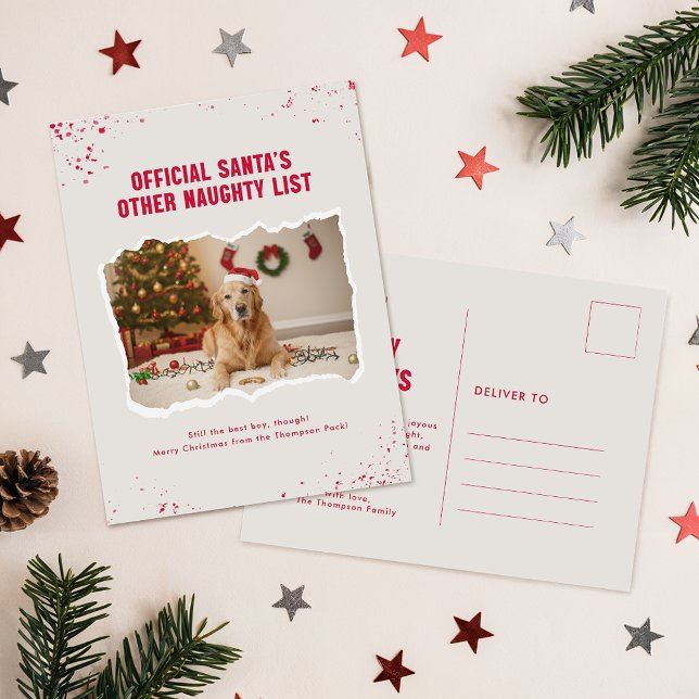 Modern Humor Funny Photo Dog Christmas Postcard Postkarte (Von Creator hochgeladen)