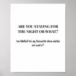 Modern Irish Lustiger irischer Zitatposter Poster