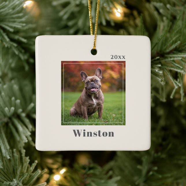 Modern Ivory Custom Pet Name Photo Keramikornament (Baum)
