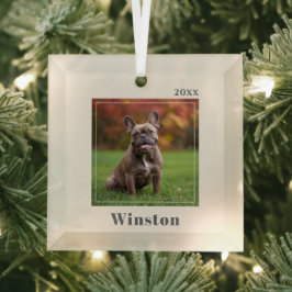 Modern Ivory Custom Pet Name Photo Ornament Aus Glas