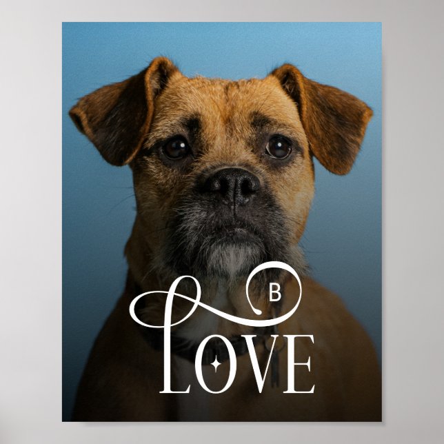 Modern Love Custom Boxer Dog Pets Photo Monogram Poster (Vorne)