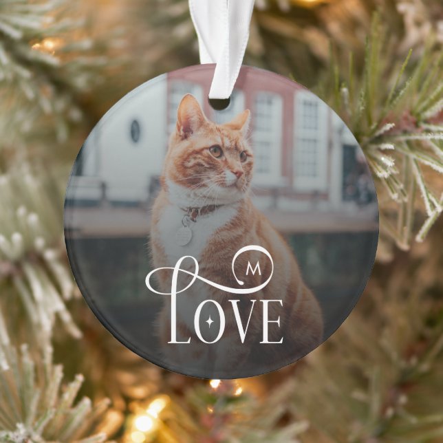 Modern Love Custom Cat Pets Photo Monogram Ornament (Baum)