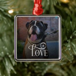 Modern Love Custom Dog Pets Photo Monogram Ornament Aus Metall