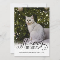 Modern Meowa Weihnachts Foto Cat Pet Holiday Card