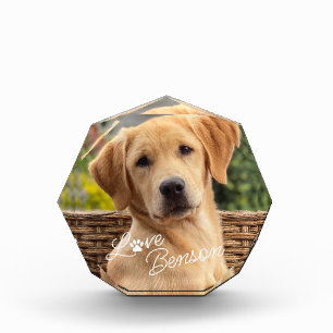 Modern My Best Friend Picture Liebe Paw Print Fotoblock